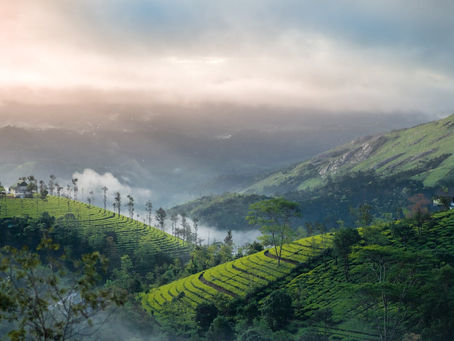 Munnar Trip from Bangalore 2026: The Complete Planning Guide