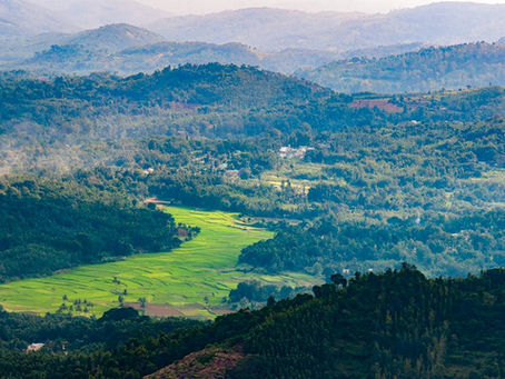 Coorg Tour from Bangalore in 2026: A Perfect Trip Guide