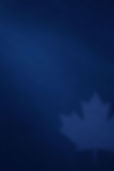 backgroud wix.jpg