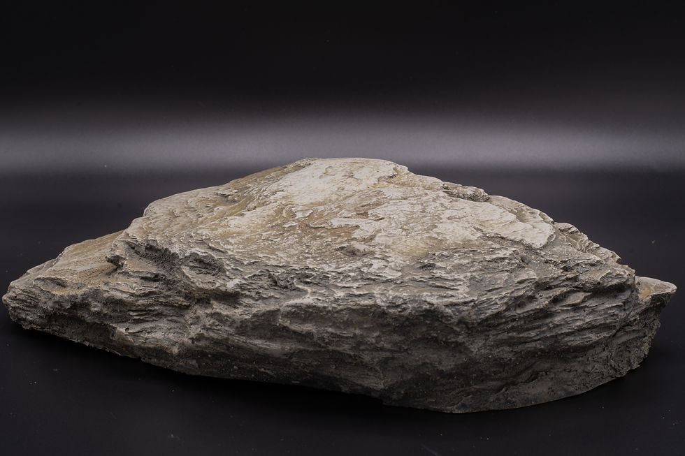 Thumbnail: artificial  rock