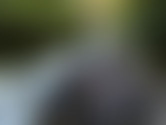 Dignity of Risk: Andrea's MAGNIficent 2 Race Report