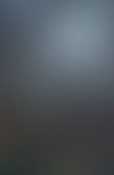 Deciding to Homeschool