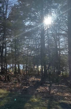 Deciding to Homeschool