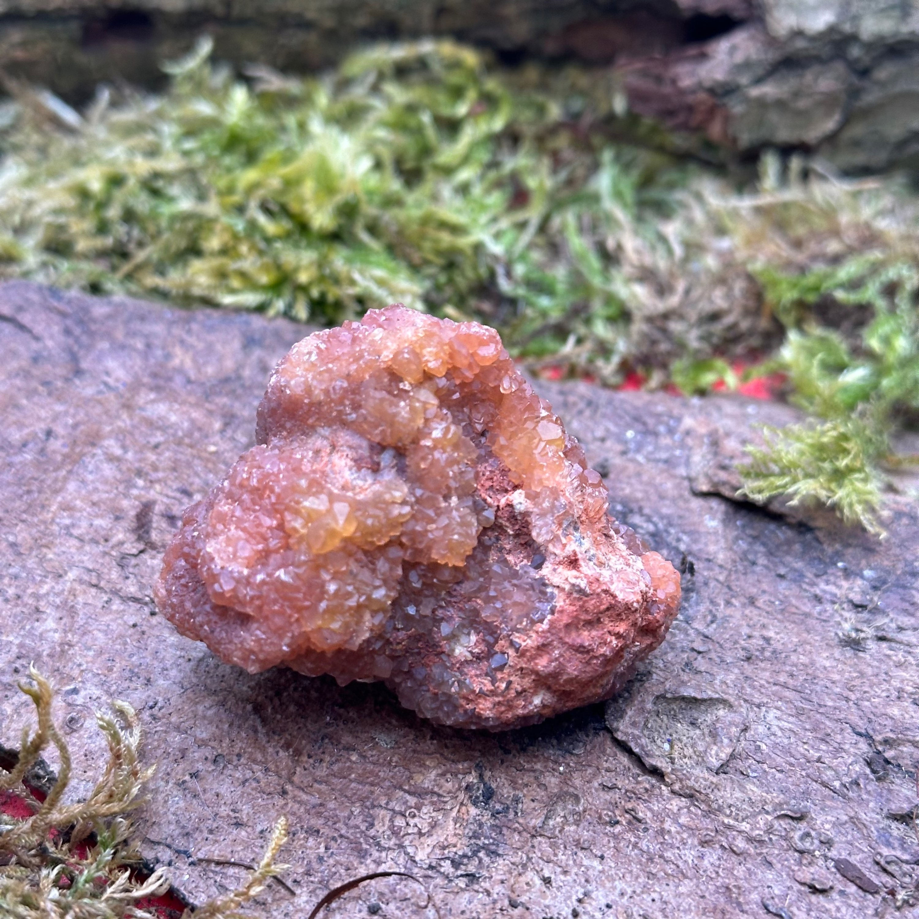 Quartz Hématoïde Orange Pierre de Vitalité, orange stone, mossy background.