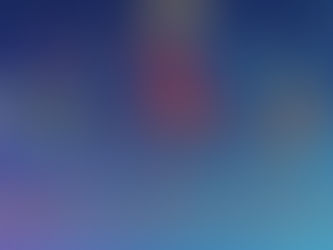 2025 Silent Auction is LIVE