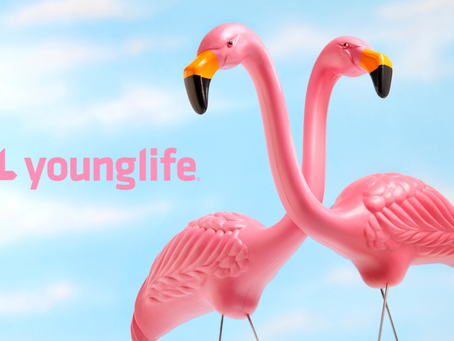 Flamingo FUNraiser 🦩