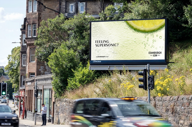 Oasis - Edinburgh Gin