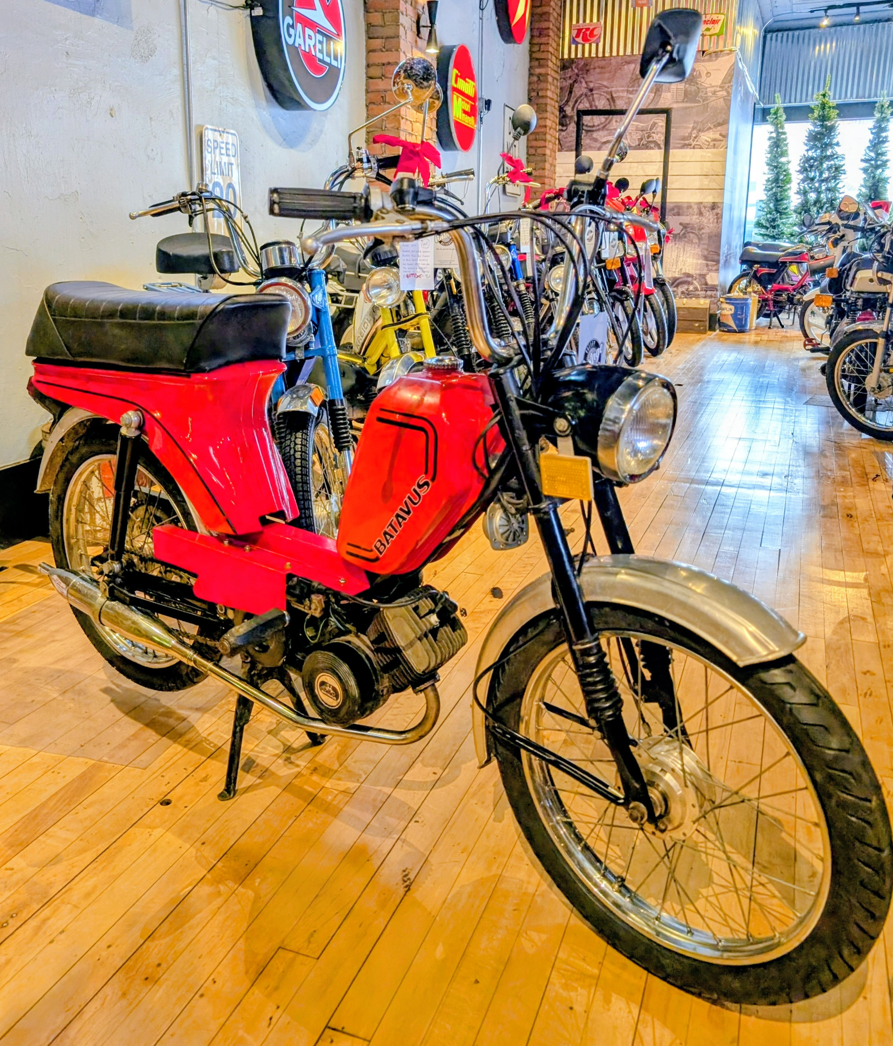 1977 Batavus Starflite