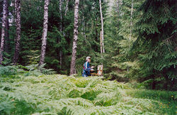 2005 г.