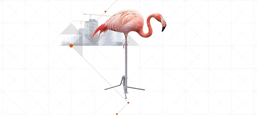 ConceptiQ_Scafom_rux_animals_slider_small.webp