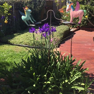 In our gardens