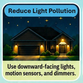 More tips for protecting bird life . . . 