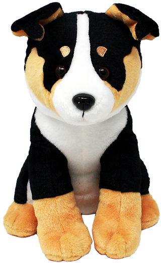 新品未読　シェルタードッグズ Dogs | shelterpets