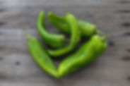 AdobeStock_222552239.jpeg