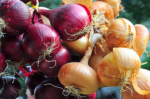 AdobeStock_122630574.jpeg