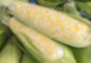 AdobeStock_55337337.jpeg