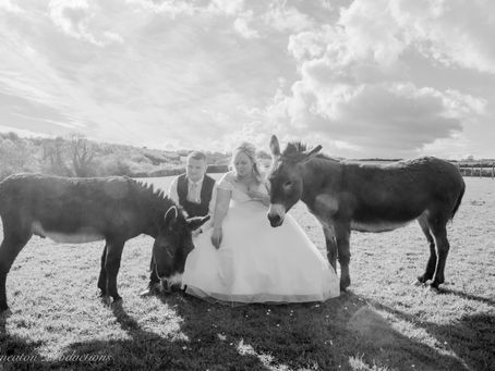 Mr & Mrs Hammond @ Black Water Farm Liskeard