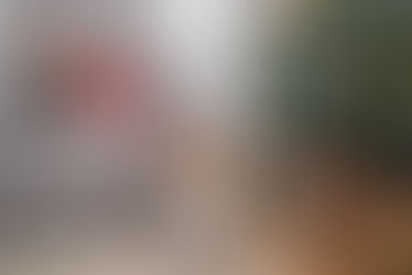fotografia ensaio de natal pet cachorro com família e bebê em domicílio