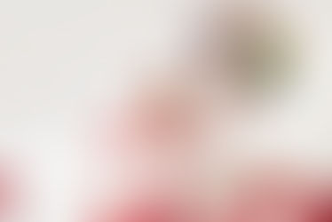 fotografia ensaio de natal pet cachorro com família e bebê em domicílio