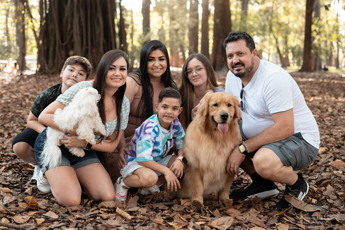 Família com 2 cães Golden e Maltês em ensaio fotográfico no Parque Ibirapuera