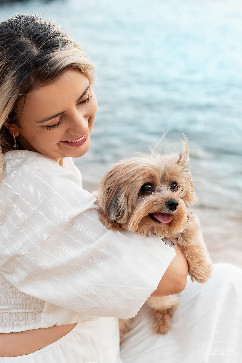 ensaio pet cachorro yorkshire na praia em Vitoria Espirito Santo