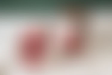 fotografia ensaio de natal pet cachorro com família e bebê em domicílio