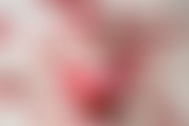 fotografia ensaio de natal pet cachorro com família e bebê em domicílio