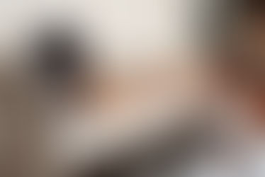 mulher mãe de pet com 4 spitz fofos lulu da pomerânia em apartamento em Vitória Espirito Santo
