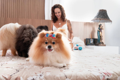 ensaio pet mãe de pet filho de 4 patas cachorro spitz Vitória Espirito Santo lifestyle