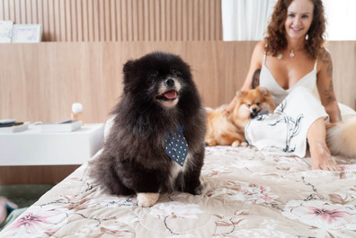 ensaio pet mãe de pet filho de 4 patas cachorro spitz Vitória Espirito Santo lifestyle