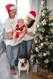 fotografia ensaio de natal pet cachorro com família e bebê em domicílio