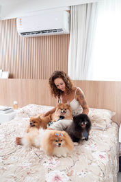 mulher mãe de pet com 4 spitz fofos lulu da pomerânia em apartamento em Vitória Espirito Santo