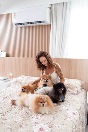 mulher mãe de pet com 4 spitz fofos lulu da pomerânia em apartamento em Vitória Espirito Santo
