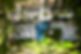 Natural space yoga retreat in Koh Samui with Shahda Yoga