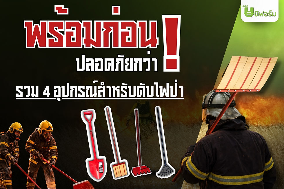 ภาพปกบทความ