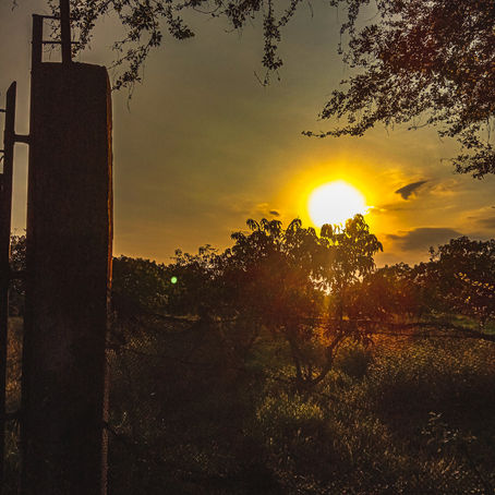 When the Sun Touches Nature 