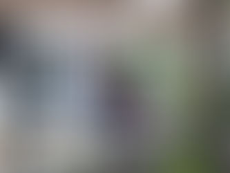 Integrating into a new culture