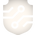 Cybersecurity Shield