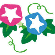 梅雨空ですが♪