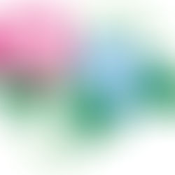 梅雨空ですが♪