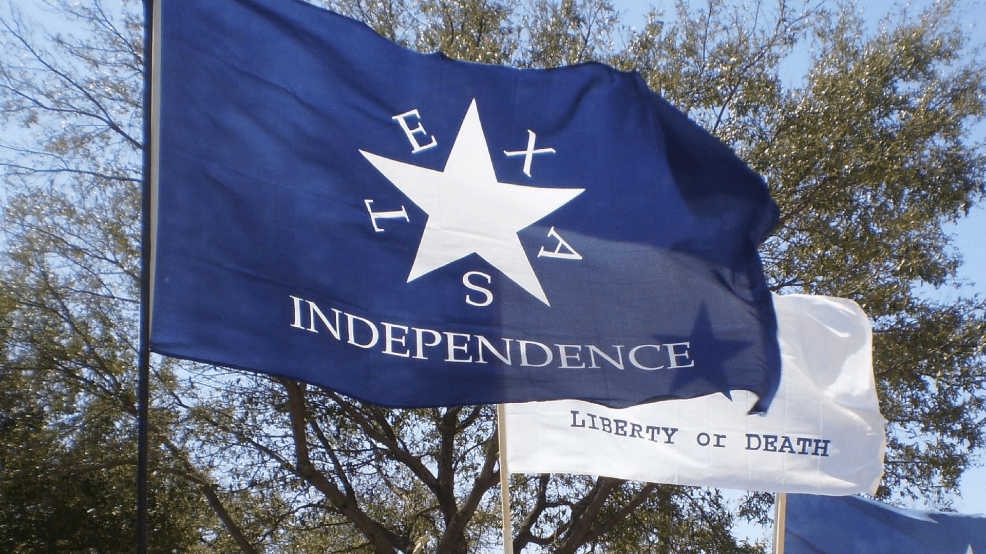 Lets Talk About TEXIT, Vote Could Happen As Soon As Next Year content media