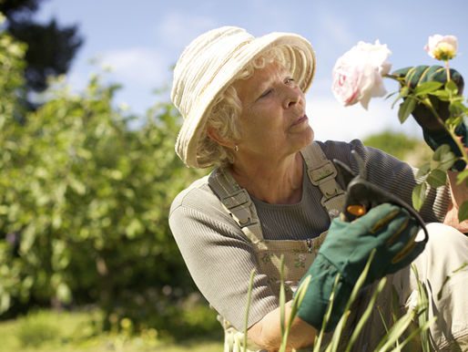 Retirement Reinvention: Hold Steady or Become a New You?