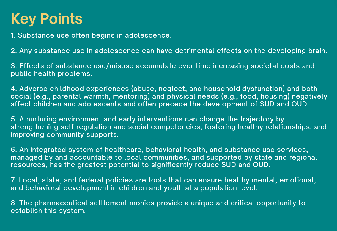 Strategy for Preventing Opioid Use Disorders in Communities
