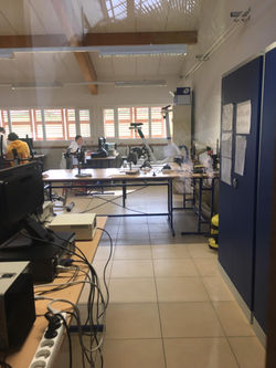 IMG-20190407-WA0006