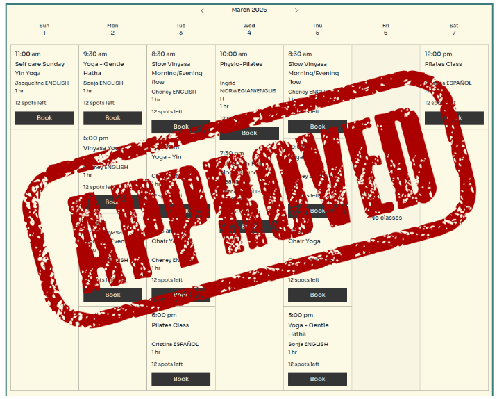 Screenshot of the lesson schedule with 'approved' stamp.