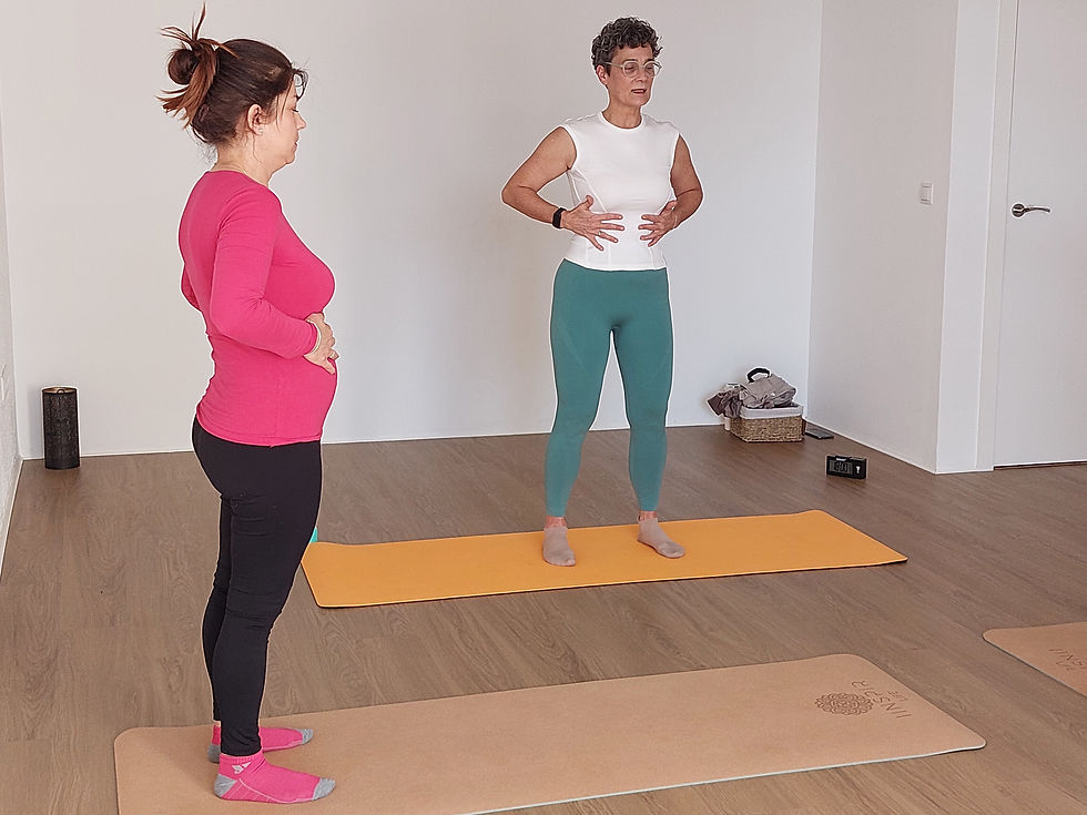 Eye-level view of a serene yoga studio with mats and Pilates reformer machines arranged neatly