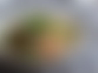 C-00 ビリヤニテキスト