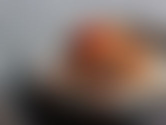 肉団子のクリームマサラ【スパイス定期便】