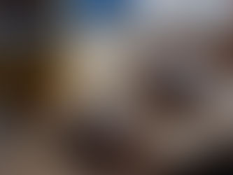 B12-5レバーパテ