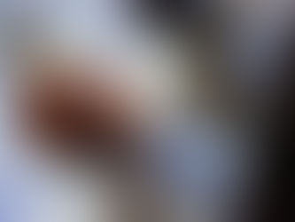 B10-12シナモンほうじ茶